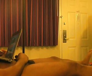 Kedi yakın çekim. bedava yeni porno izle